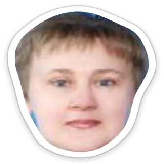 💩 emoji ГиМнАзИя Telegram sticker 11 of 32