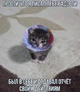 🫡 emoji Максик Telegram sticker 9 of 26