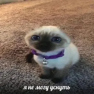 Sticker from Максик