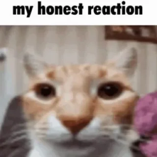 Sticker from my reaction to that information