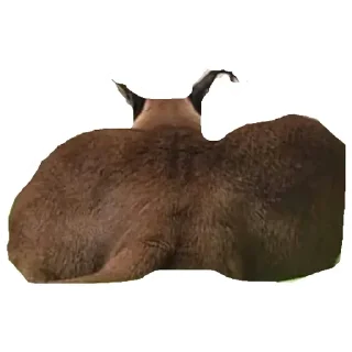 Sticker from Шлёпа 3