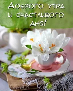 Sticker from Позитивные картинки 🤩