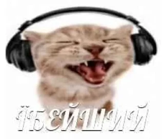 🎧 emoji я люблю щітпост Telegram sticker 15 of 52