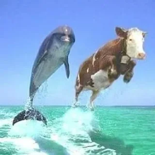 🐬 emoji я люблю щітпост Telegram sticker 10 of 52