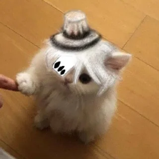 😺 emoji Кефич лега чо Telegram sticker 11 of 22