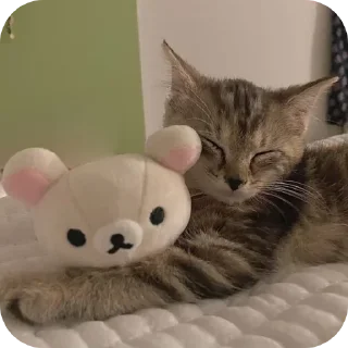 🤩 emoji @EARTH928B <- БОЛЬШЕ Telegram sticker 14 of 67