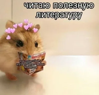 😢 emoji Животные Telegram sticker 24 of 73