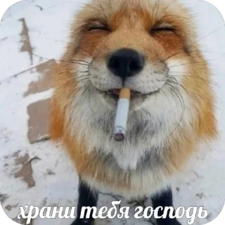 🙏 emoji 🍻Под шконкой🍻 @smnthx Telegram sticker 17 of 120