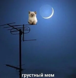 Sticker from какашечка