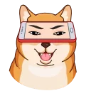 😃 emoji Shiba Inu Telegram sticker 16 of 23
