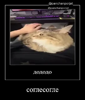 ⚡ emoji Куча Лун :: Автор:@Skuerny Telegram sticker 21 of 120
