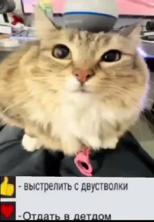⚡ emoji Куча Лун :: Автор:@Skuerny Telegram sticker 12 of 120
