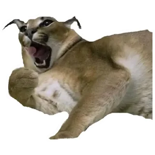 💚 emoji Шлёпа 3 Telegram sticker 19 of 25