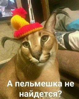 🤨 emoji Шлёпа Telegram sticker 7 of 25