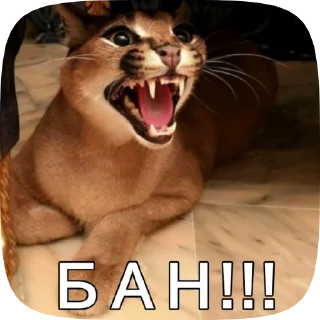 ❌ emoji Шлёпа 2 Telegram sticker 15 of 50