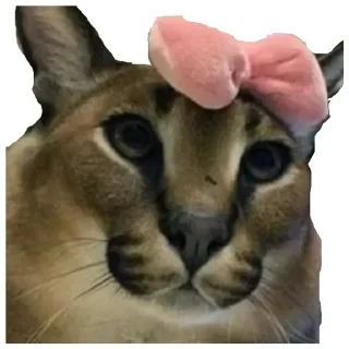 💚 emoji Шлёпа 3 Telegram sticker 17 of 25