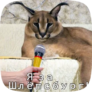 🎤 emoji Шлёпа 2 Telegram sticker 12 of 50