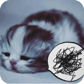 🐱 emoji maltipushechka2010 Telegram sticker 14 of 74