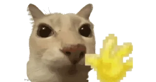 🌟 emoji maltipushechka2010 Telegram sticker 19 of 74