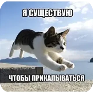 👍 emoji Бока не бока 2 Telegram sticker 8 of 120