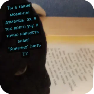 😈 emoji Пушистый уголёк и его друзья Telegram sticker 8 of 17