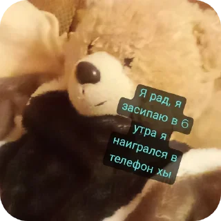 🐻 emoji Пушистый уголёк и его друзья Telegram sticker 11 of 17