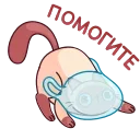 🆘 emoji Котик Веня от @TgSticker Telegram sticker 12 of 49