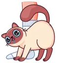 🦶 emoji Котик Веня от @TgSticker Telegram sticker 10 of 49