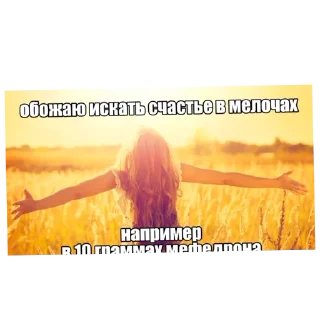 🌾 emoji Ярик вернись в семью Telegram sticker 13 of 13