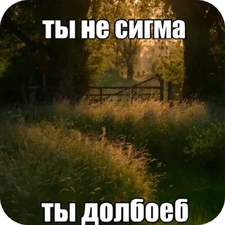 🖼 emoji Ярик вернись в семью Telegram sticker 11 of 13