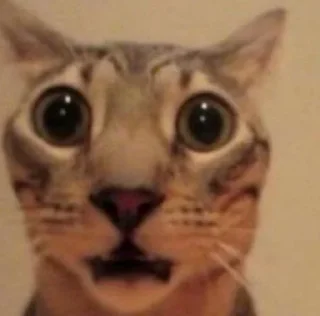 😨 emoji Stickers by Фантом Telegram sticker 10 of 22