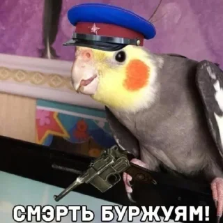 🔫 emoji Буквы кончились Telegram sticker 16 of 74
