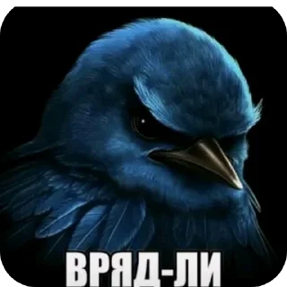 🐦 emoji Нокаут Telegram sticker 10 of 75