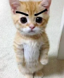 😠 emoji китти Telegram sticker 18 of 27