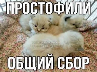 🥰 emoji катькины стикеры Telegram sticker 13 of 64