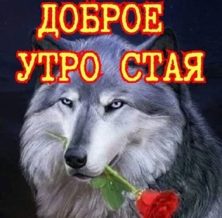 😇 emoji катькины стикеры Telegram sticker 15 of 64