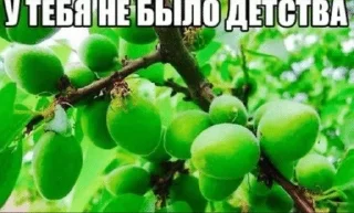 Sticker from РОФЛЯНОЧКА