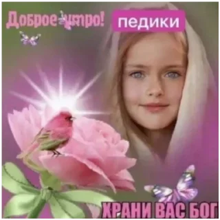 🍡 emoji дикош топ💗 Telegram sticker 23 of 30