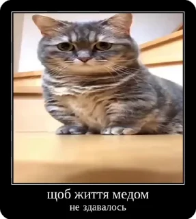 😇 emoji Сольовик і неформали @solovyy Telegram sticker 21 of 50