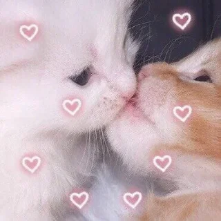 🌟 emoji Neko Telegram sticker 5 of 54