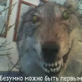 💋 emoji сос Telegram sticker 16 of 16