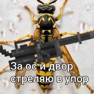 🫡 emoji ОСЫ ТОП Telegram sticker 11 of 12