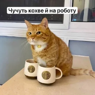☕️ emoji коти Telegram sticker 10 of 87