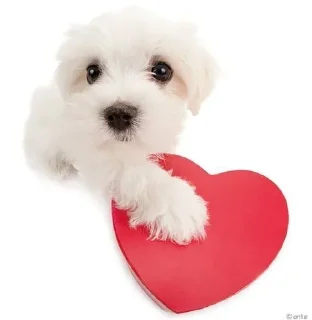 🥰 emoji shitpost status 🟢 (active) Telegram sticker 8 of 120