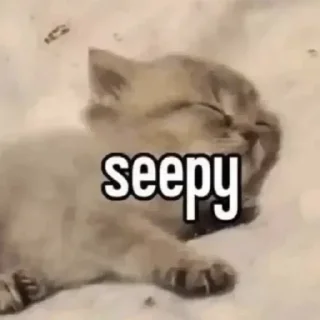 🌑 emoji ✞ ✞ ✞ Telegram sticker 23 of 108