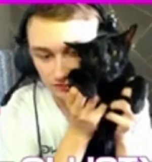 🐈 emoji ClusTy - смех до слёз Telegram sticker 18 of 28