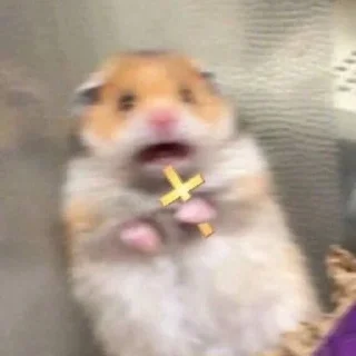 😧 emoji Memes images Telegram sticker 6 of 106