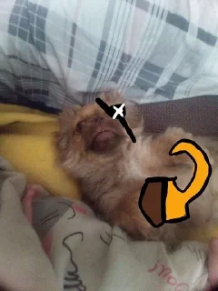 🤯 emoji Клёпа🤯 :: @chinafastlapsha12 Telegram sticker 13 of 35