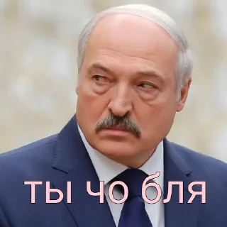 😡 emoji Лукашенко 🥸 || @polichhhheh Telegram sticker 11 of 16