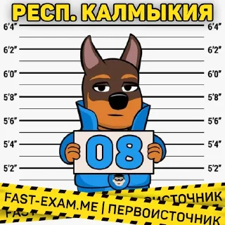🇦🇷 emoji Все регионы @fast_exam Telegram sticker 11 of 84
